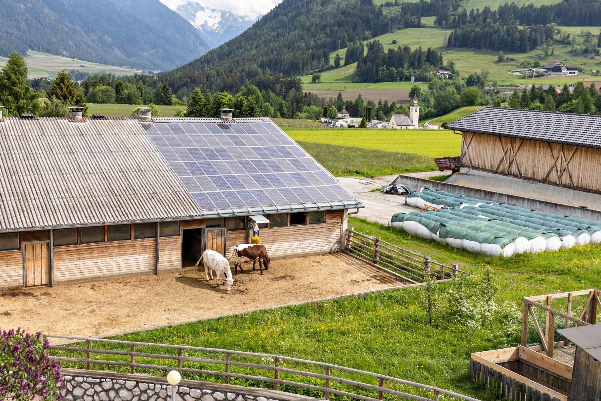 Oberhoelzlhof Valdaora di Sopra Exterior foto